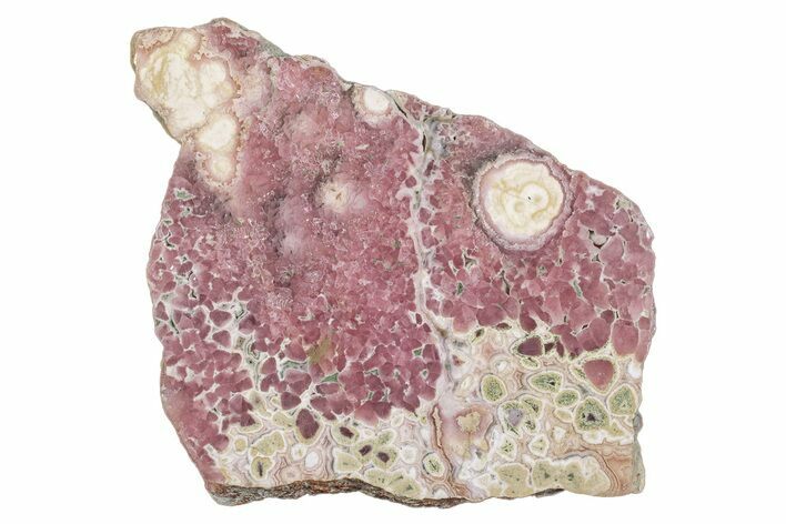 Polished Banded Rhodochrosite Slab - Argentina #264672